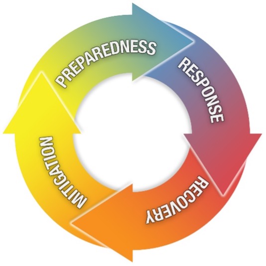 Emergency Management Wheel