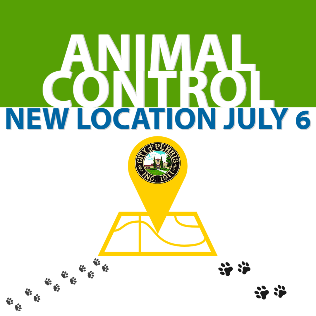 Animal Control 6-17-20